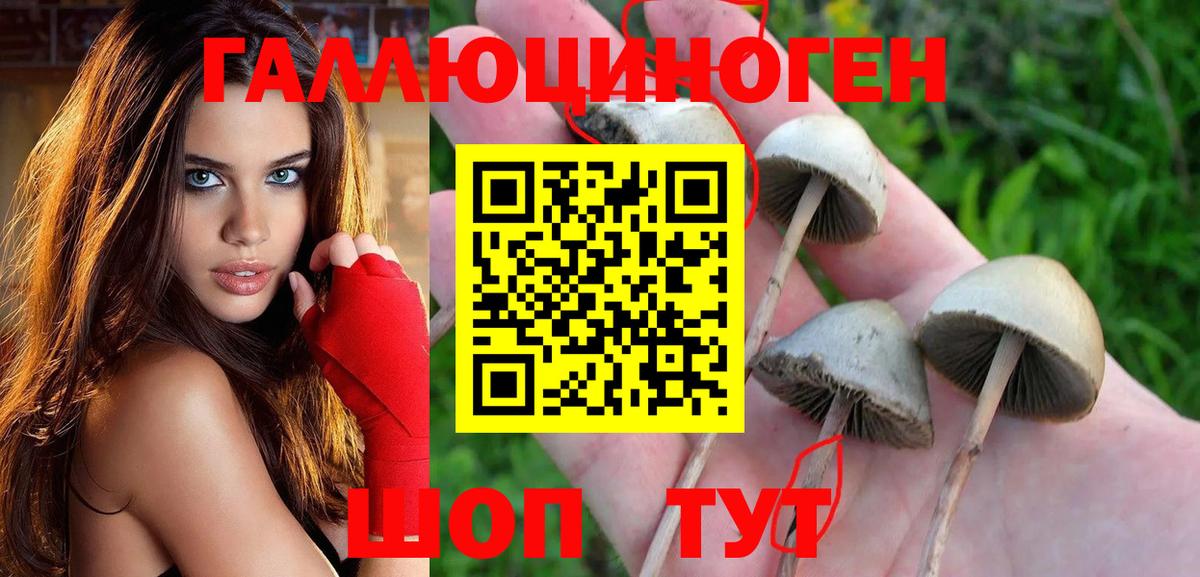 закладки  Галлюциногенные грибы прущие грибы  Вход с VPN  Фурманов 